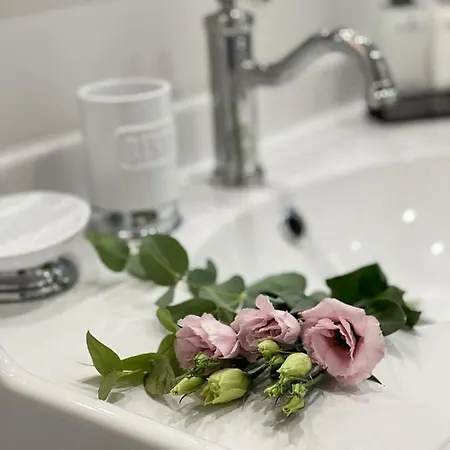 Luksusowy Blue11 * 미엥지즈드로예